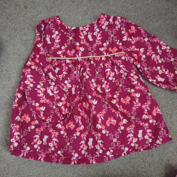 Gymboree Shirt - Picture 1 of 2